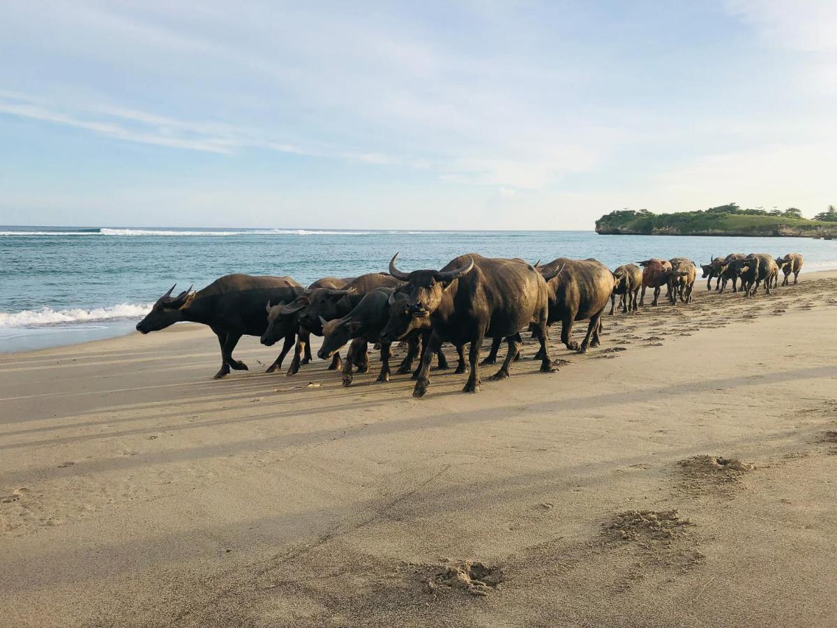 Sumba Beach House Waikabubak Extérieur photo
